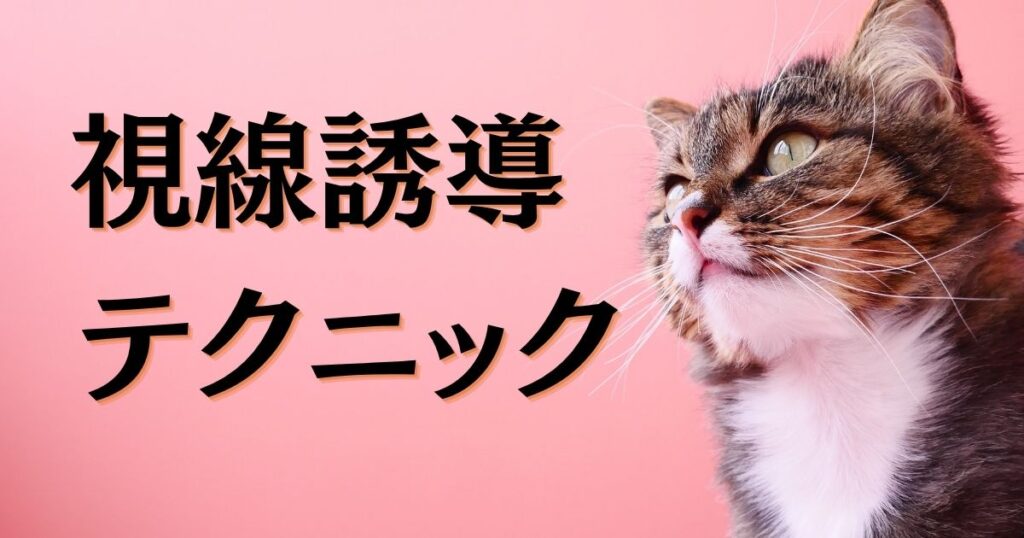 アイキャッチ