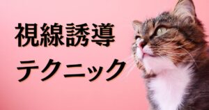 アイキャッチ